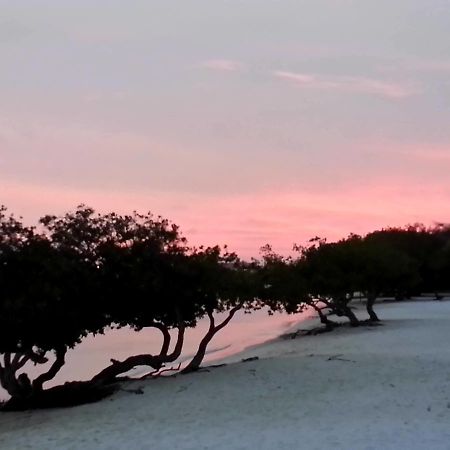 ホテル Aruba Surfside Marina オラニエスタッド エクステリア 写真
