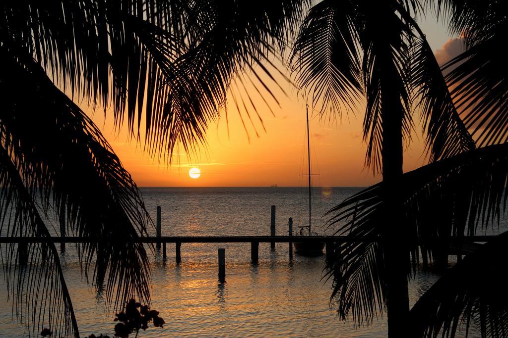 ホテル Aruba Surfside Marina オラニエスタッド エクステリア 写真