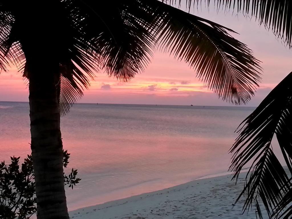 ホテル Aruba Surfside Marina オラニエスタッド エクステリア 写真