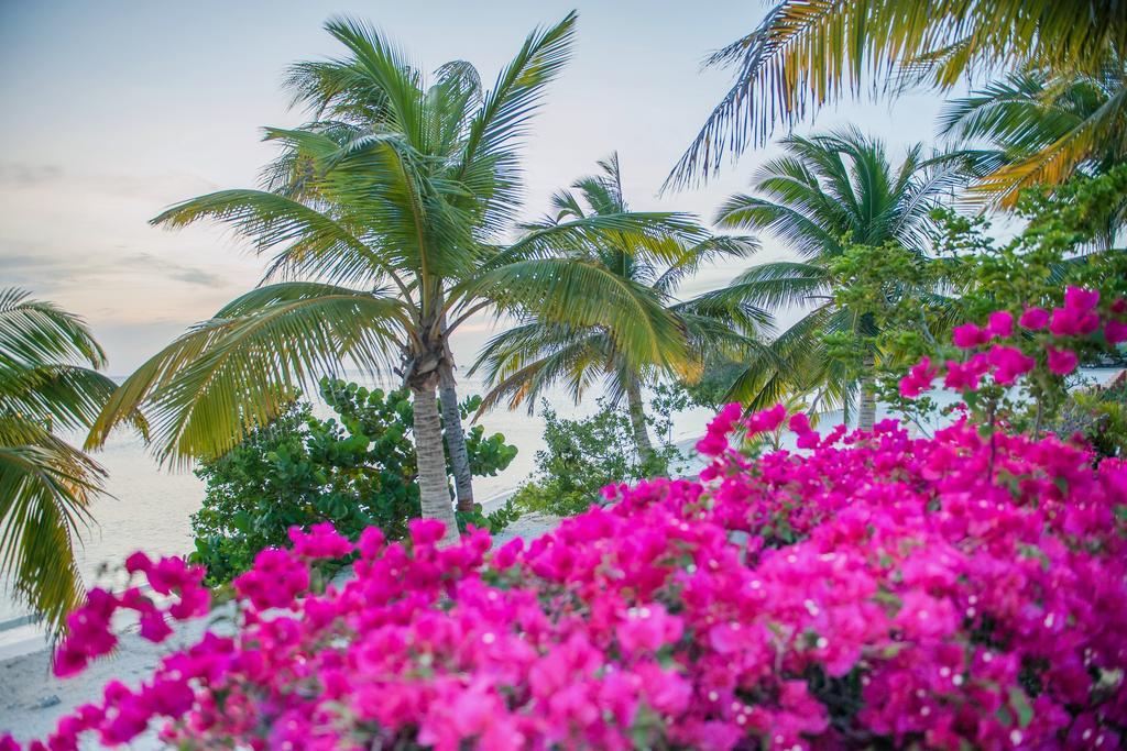 ホテル Aruba Surfside Marina オラニエスタッド エクステリア 写真