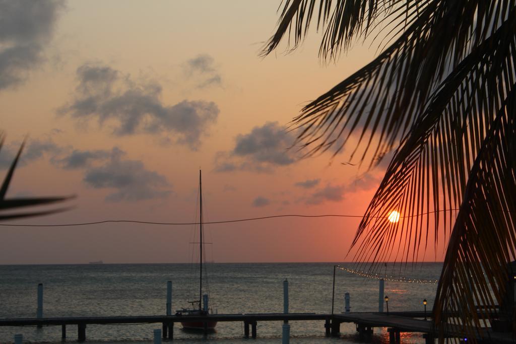 ホテル Aruba Surfside Marina オラニエスタッド エクステリア 写真