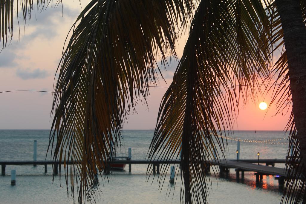 ホテル Aruba Surfside Marina オラニエスタッド エクステリア 写真