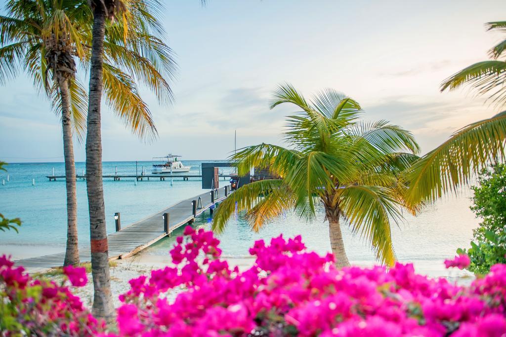 ホテル Aruba Surfside Marina オラニエスタッド エクステリア 写真